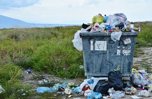 Multa por no reciclar correctamente en Madrid