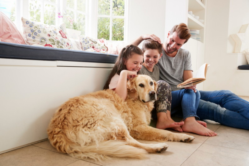 Mascotas en casas vacacionales: derechos, normas y cómo actuar si te prohíben tenerlas